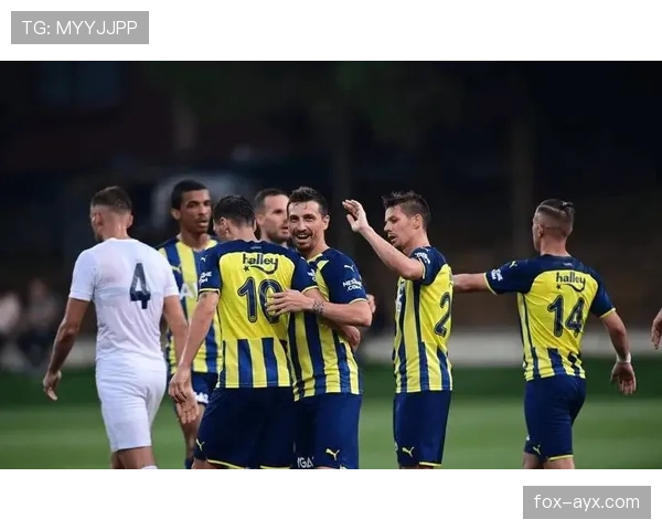 费耶诺德欧战表现抢眼，强势晋级淘汰赛阶段