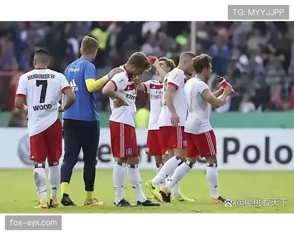 德甲夏窗新星加盟激活战力，老将离队助力阵容革新